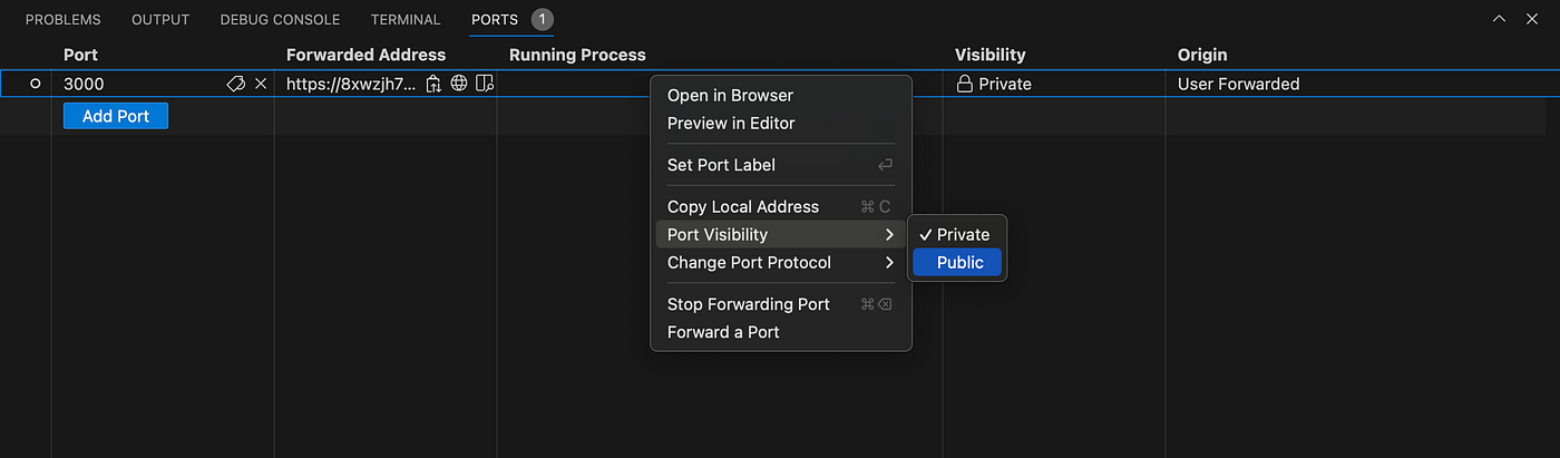 vscode-port-visibility